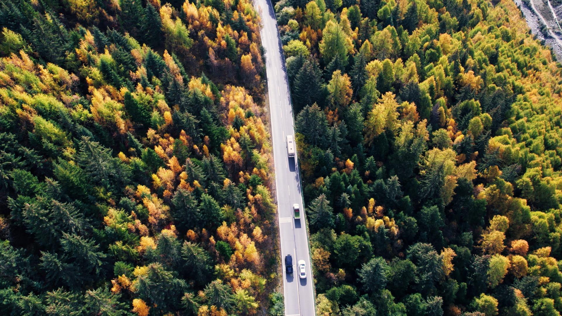 在川西彩林公路上航拍行驶的汽车视频的预览图