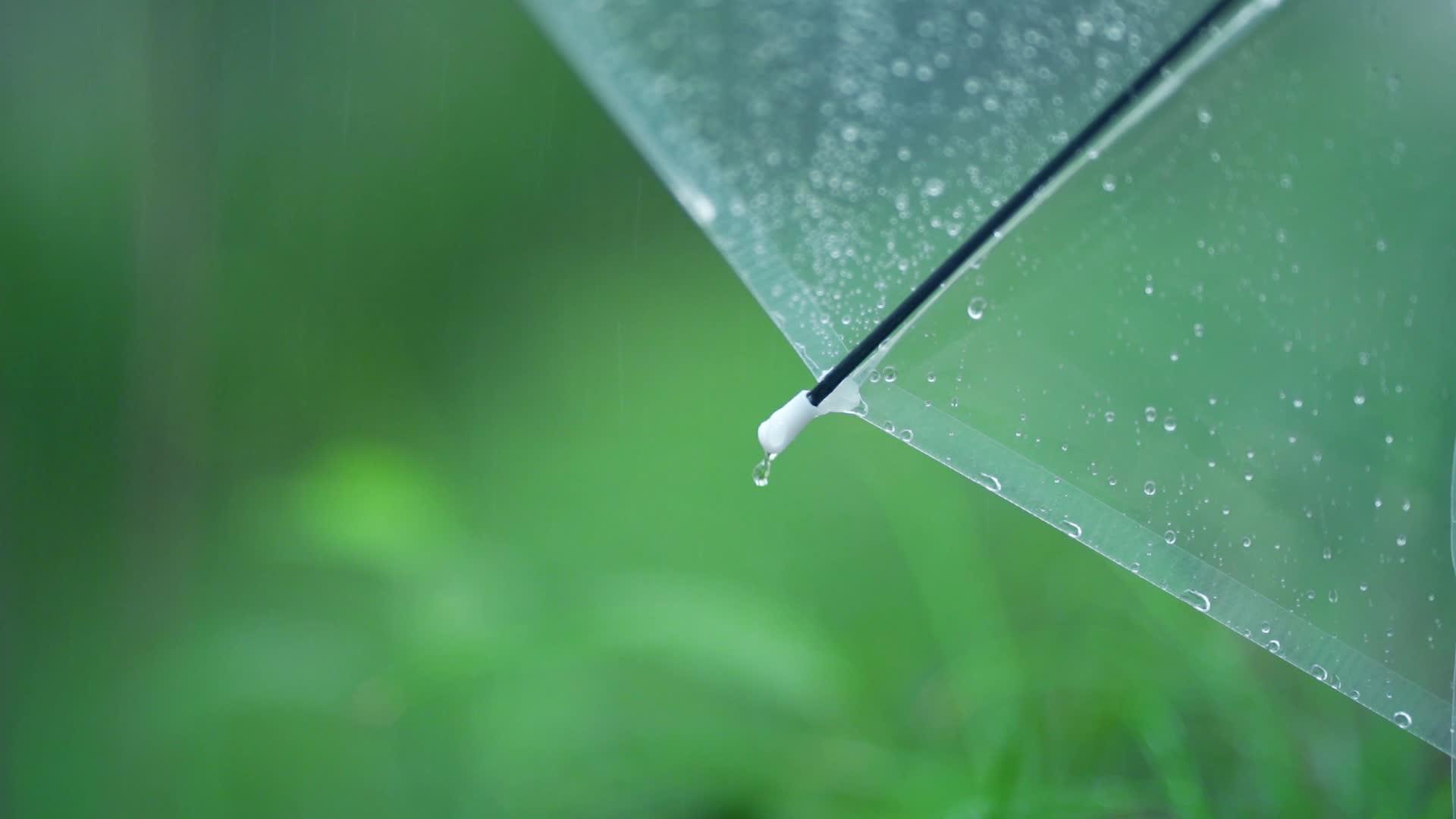 雨滴滑落的高清唯美雨滴镜头视频的预览图