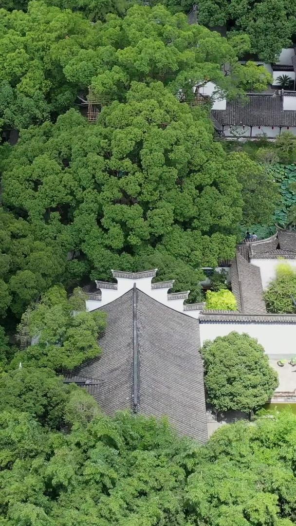 上海醉白池风景中国古典园林风景视频的预览图