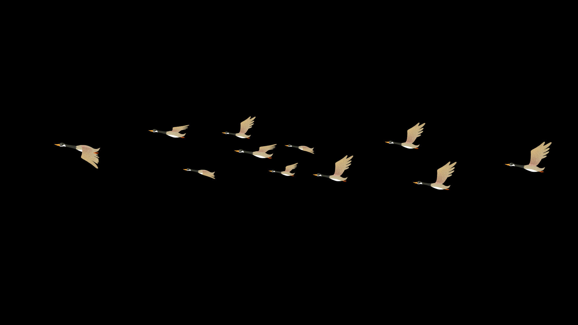 大雁飞翔带通道视频的预览图