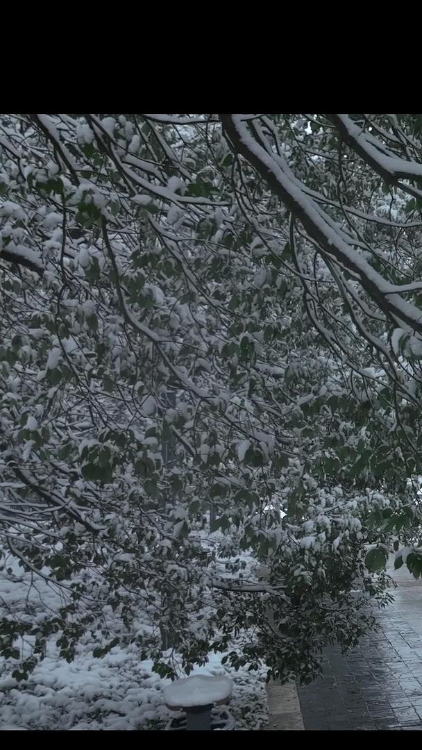 雪景中的雪人物散步视频的预览图