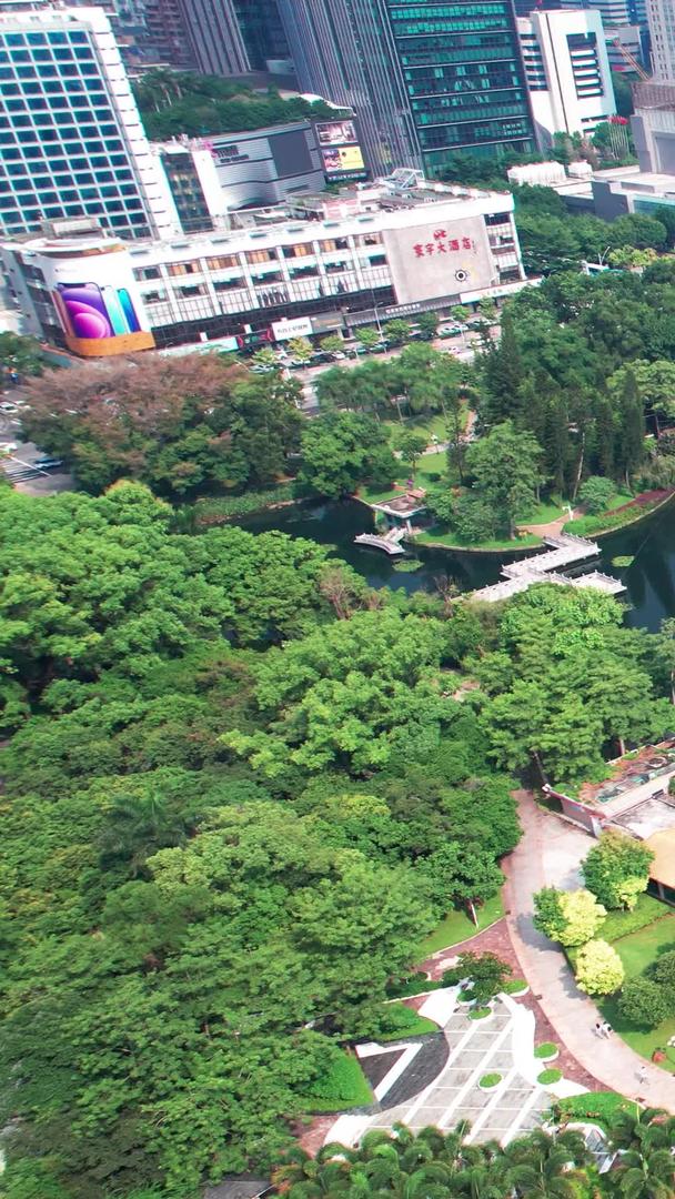 深圳荔枝公园城市公园航拍视频的预览图