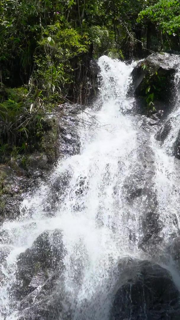 山中自然瀑布集含声音于一体视频的预览图