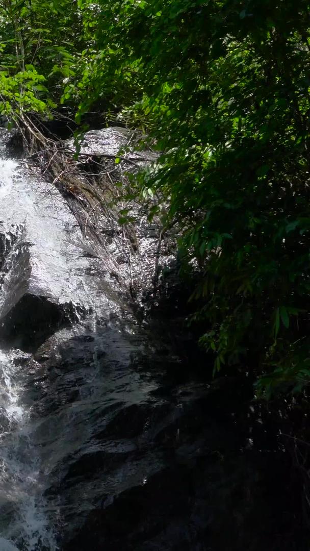 山中自然瀑布集含声音于一体视频的预览图