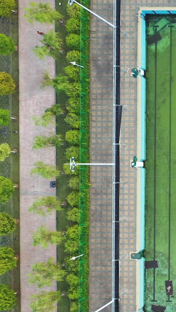 航拍城市风景夏日公园游泳池体育场馆素材视频的预览图