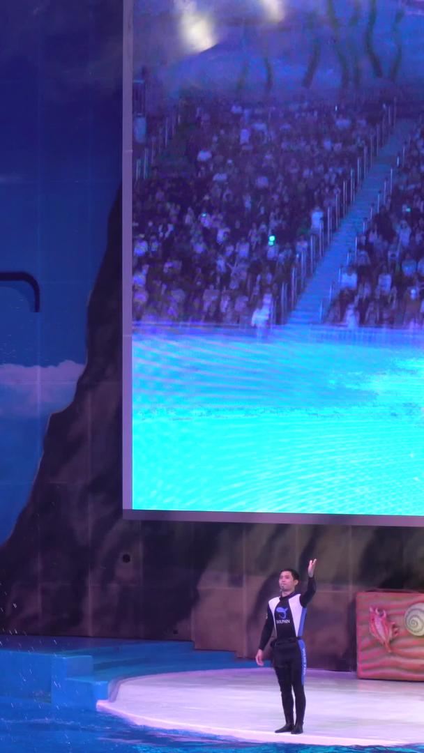 海豚在海洋公园表演视频的预览图