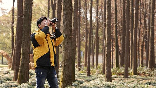 树林里行走的摄影师视频的预览图