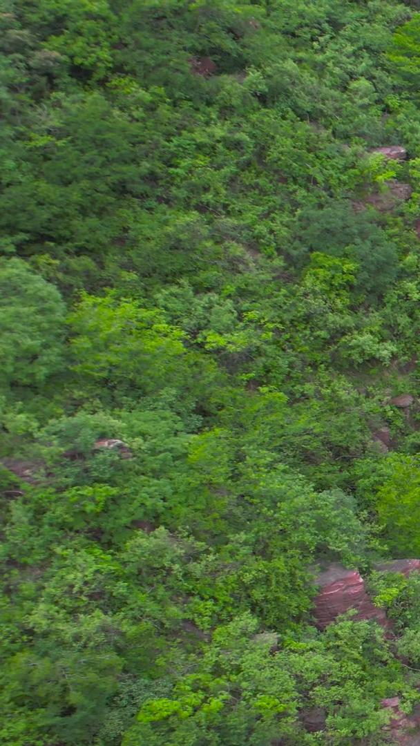 红峡谷景区航拍5A云台山景区视频视频的预览图