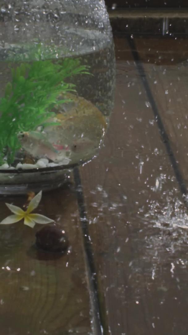 雨水滴实拍视频的预览图