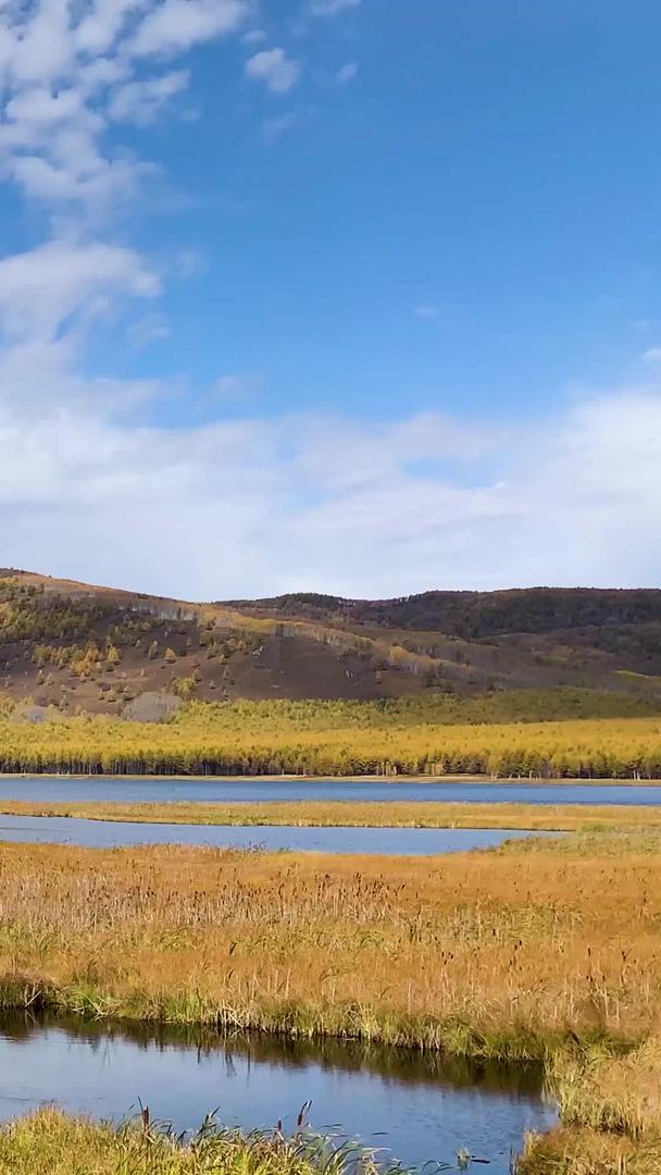 内蒙古草原湿地秋景实拍视频视频的预览图