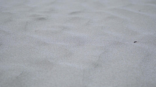 沙子风吹细沙沙砾滚动特写4K实拍视频的预览图