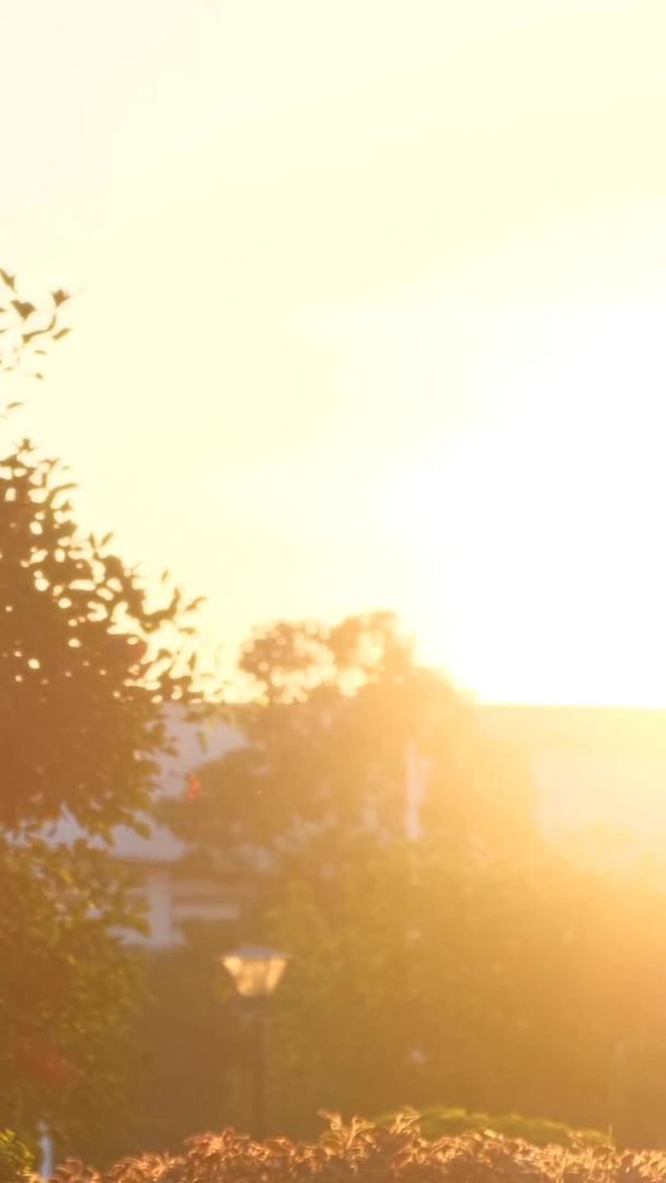 暑假开学时夕阳照耀着校园美丽的空镜视频的预览图