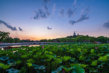 北京北海公园荷花日落8K延时视频的预览图