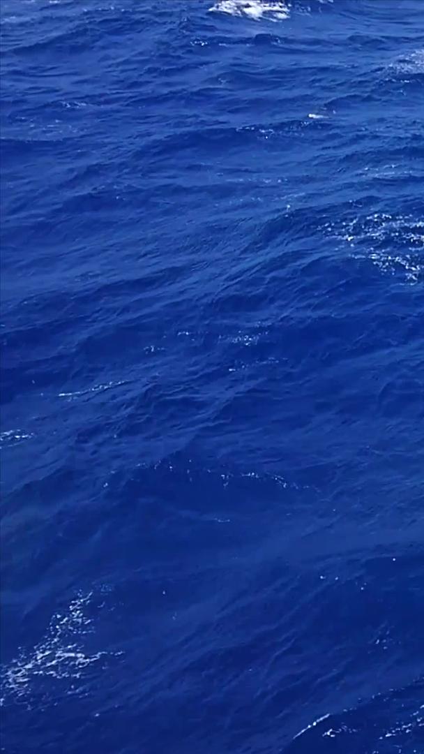 南极科考船在惊涛骇浪中行驶视频的预览图
