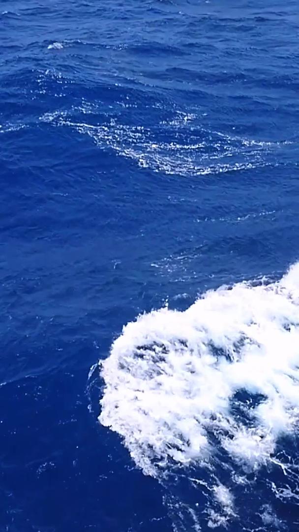 南极科考船在惊涛骇浪中行驶视频的预览图