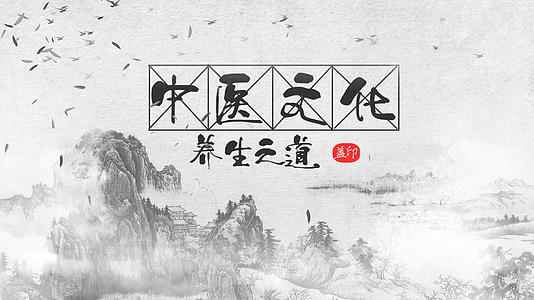 中国风中医水墨宣传相册视频模板视频的预览图
