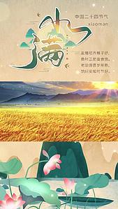 中国风传统节日节气小满视频海报视频的预览图