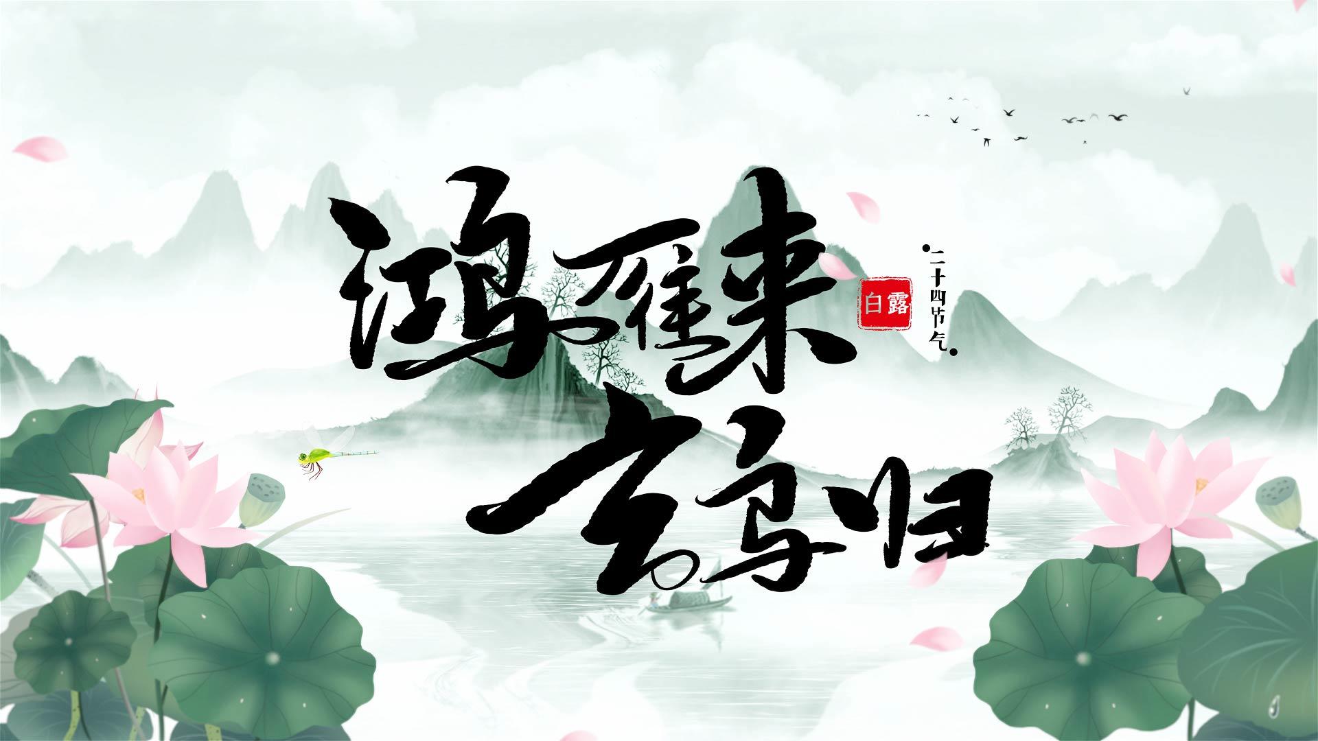 中国传统节日二十四节气白露之荷花风景AE模板视频的预览图