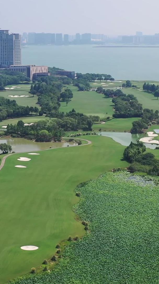 金鸡湖高尔夫球场苏州城市风景视频的预览图