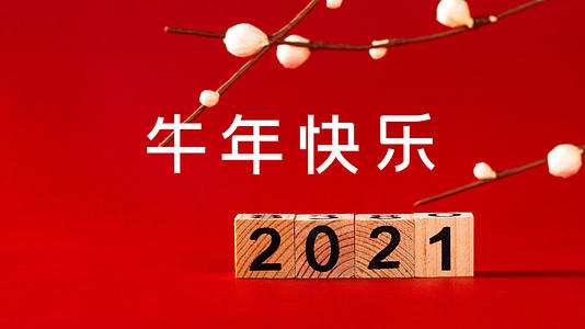 简洁喜庆新年祝福快闪字幕模板视频的预览图