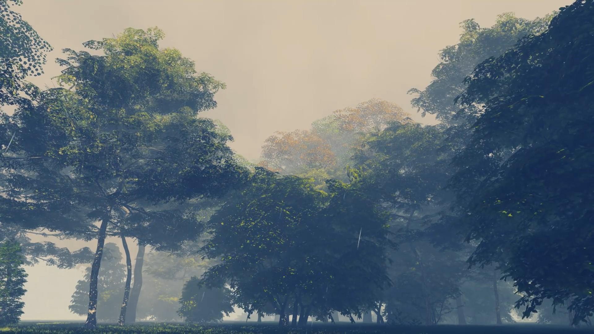 乌云密布森林下雨效果视频的预览图