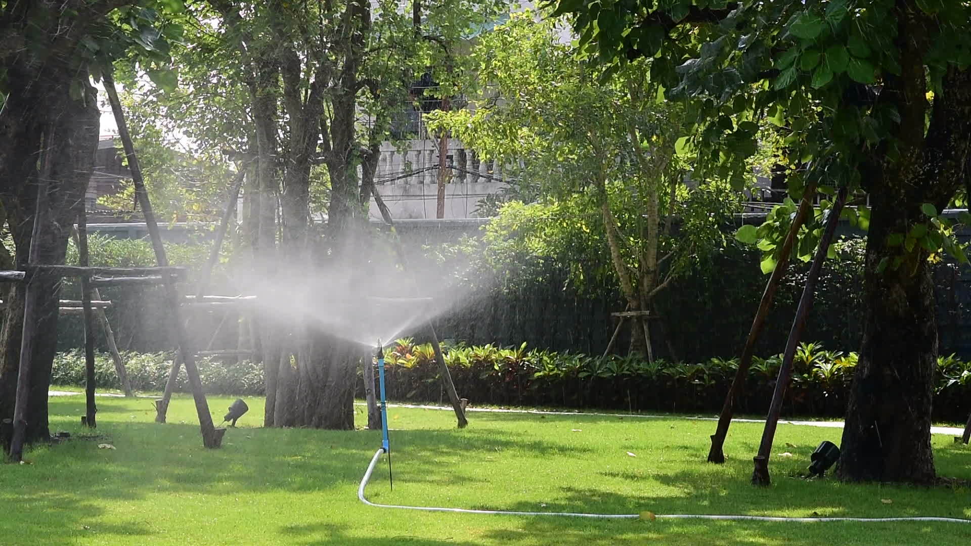 金色的花园里白天阳光的泉水流过视频的预览图