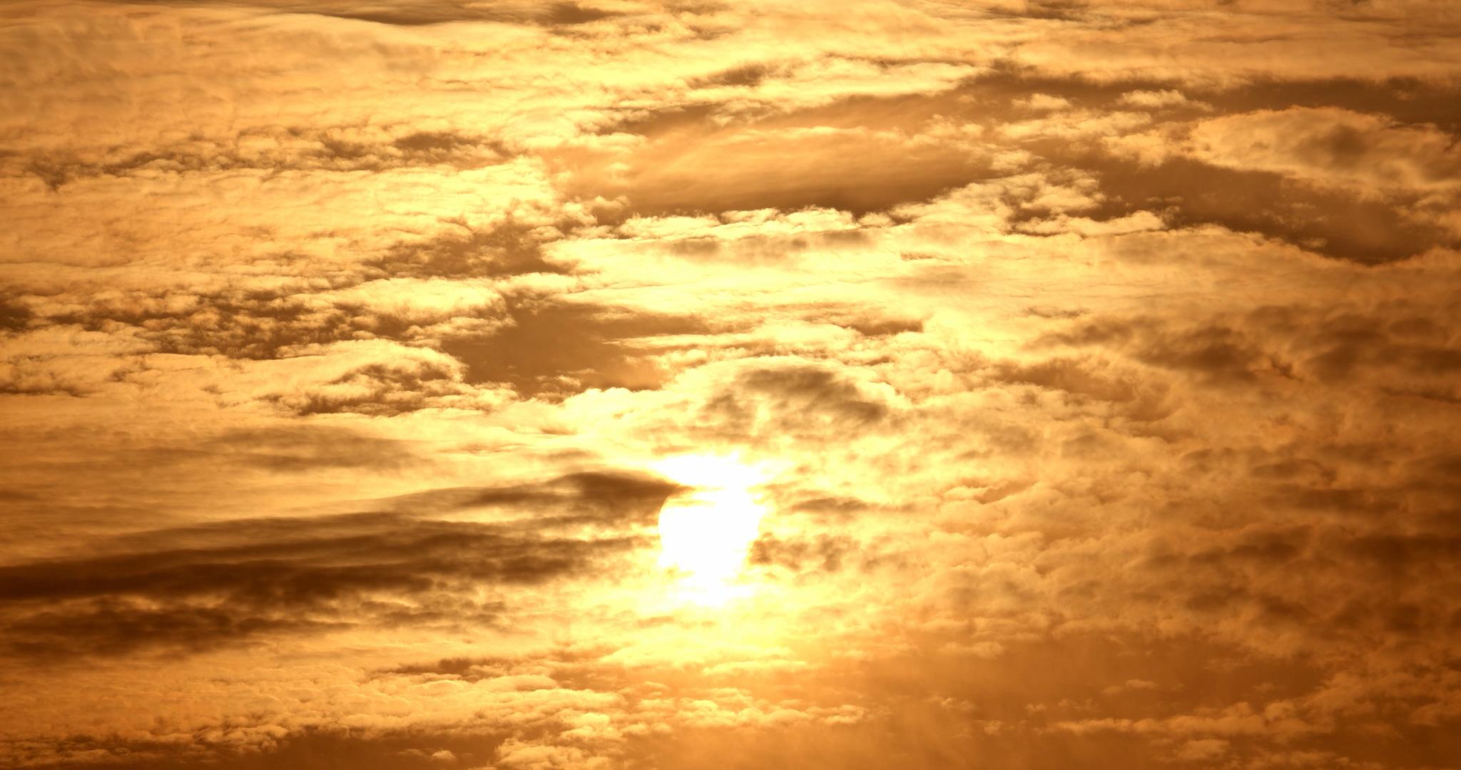 4K实拍清晨太阳从云层升起视频的预览图