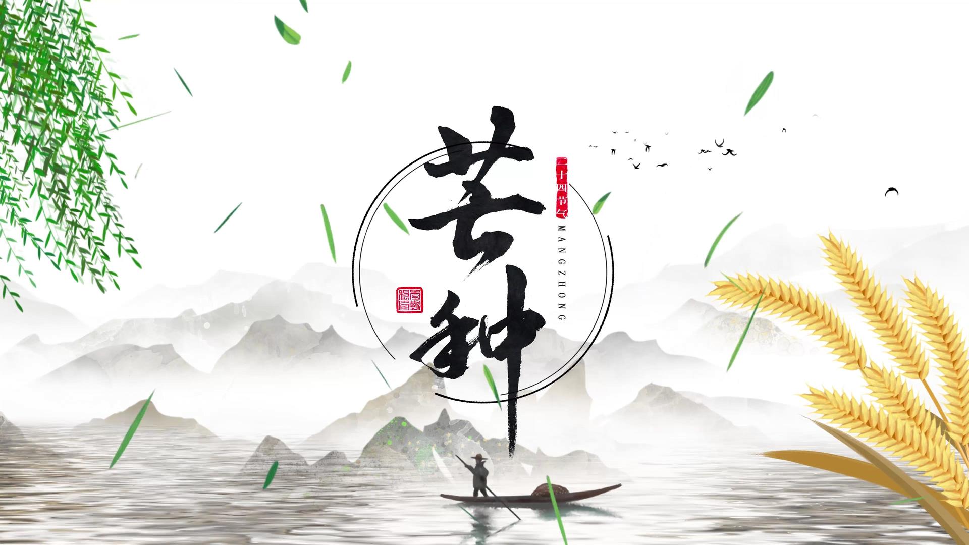 中国风二十四节气芒种视频片头视频的预览图