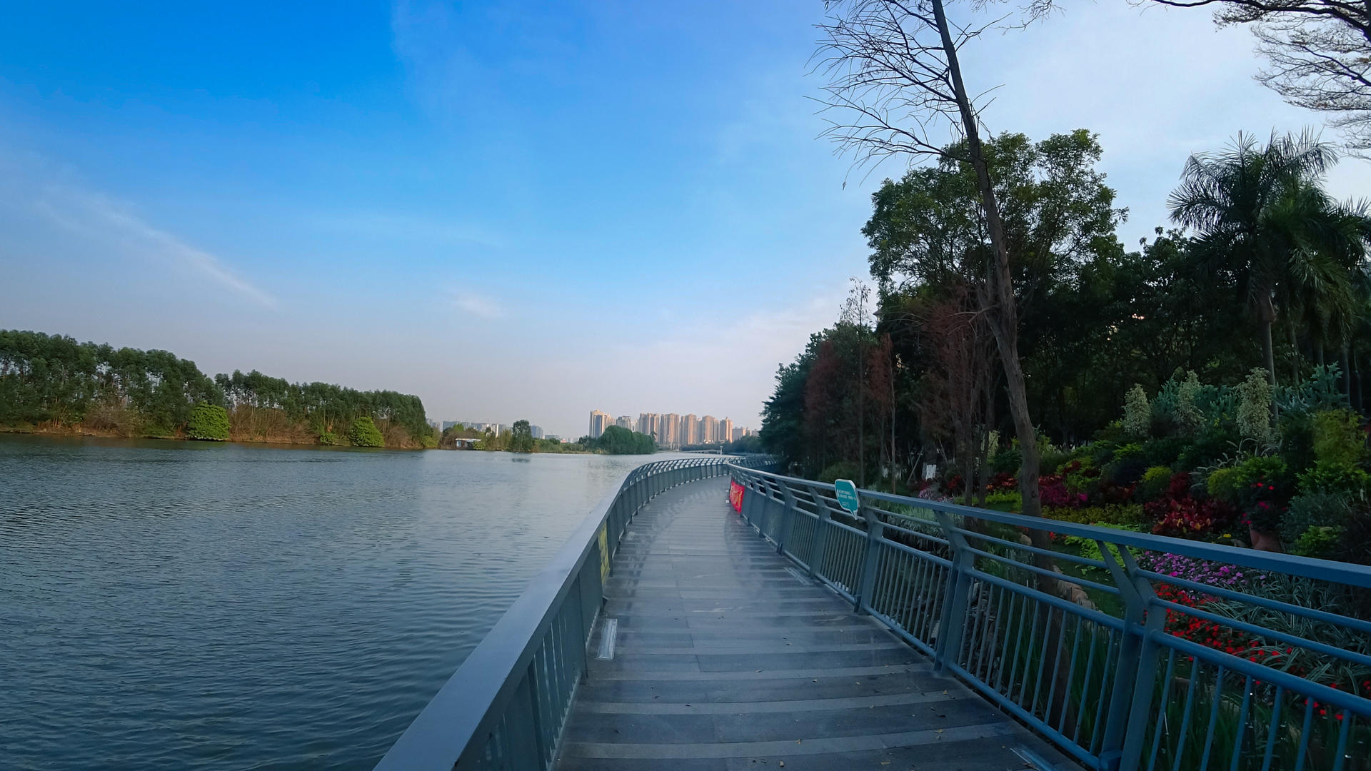 现代城市风光江河桥散步视频的预览图