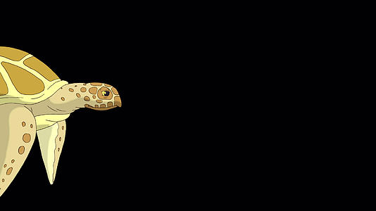 水下游泳的黄龟视频的预览图