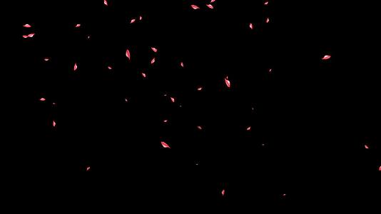 玫瑰花瓣飘落带透明通道视频视频的预览图