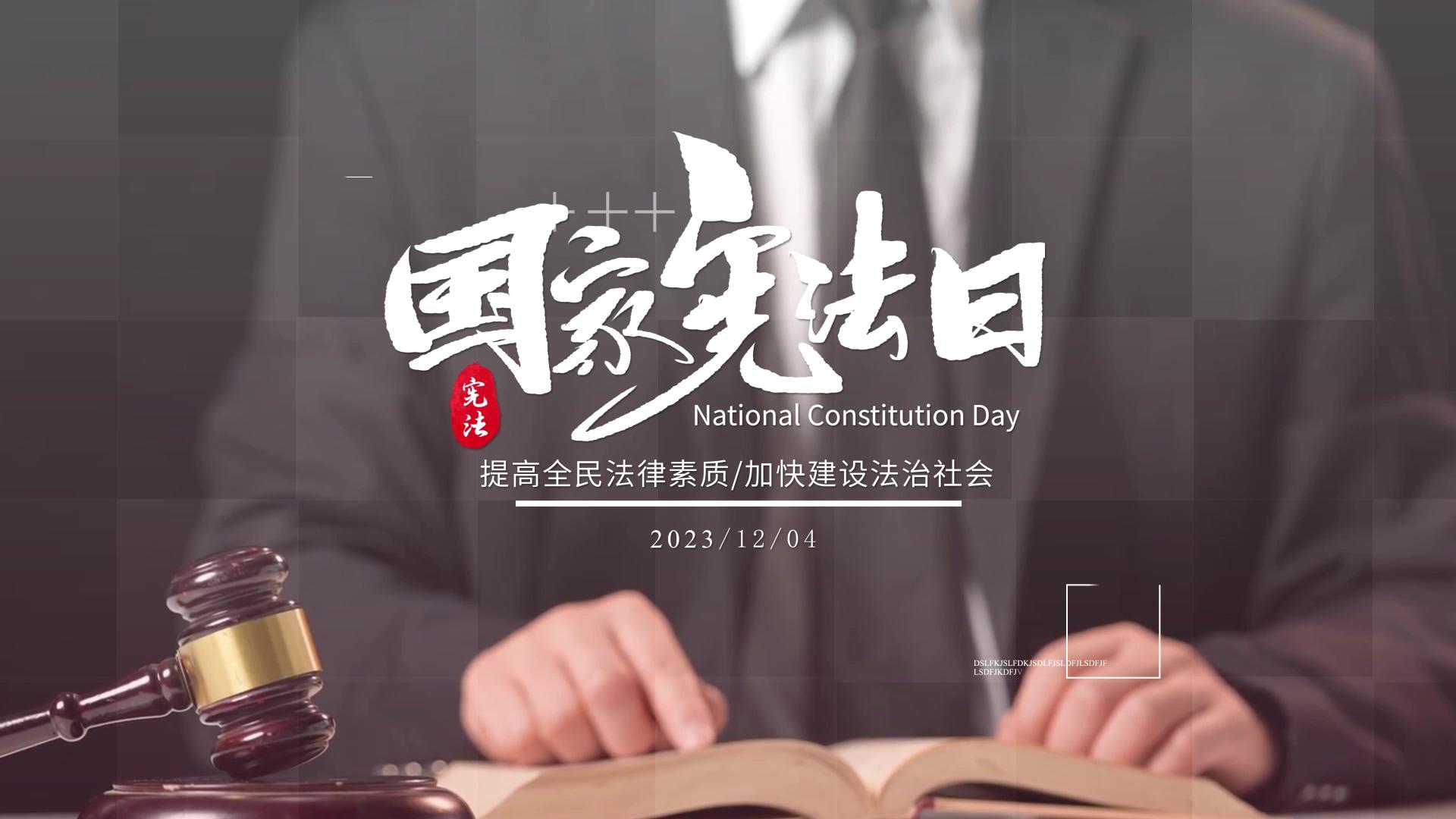 简洁大气国家宪法日图文AE模板视频的预览图