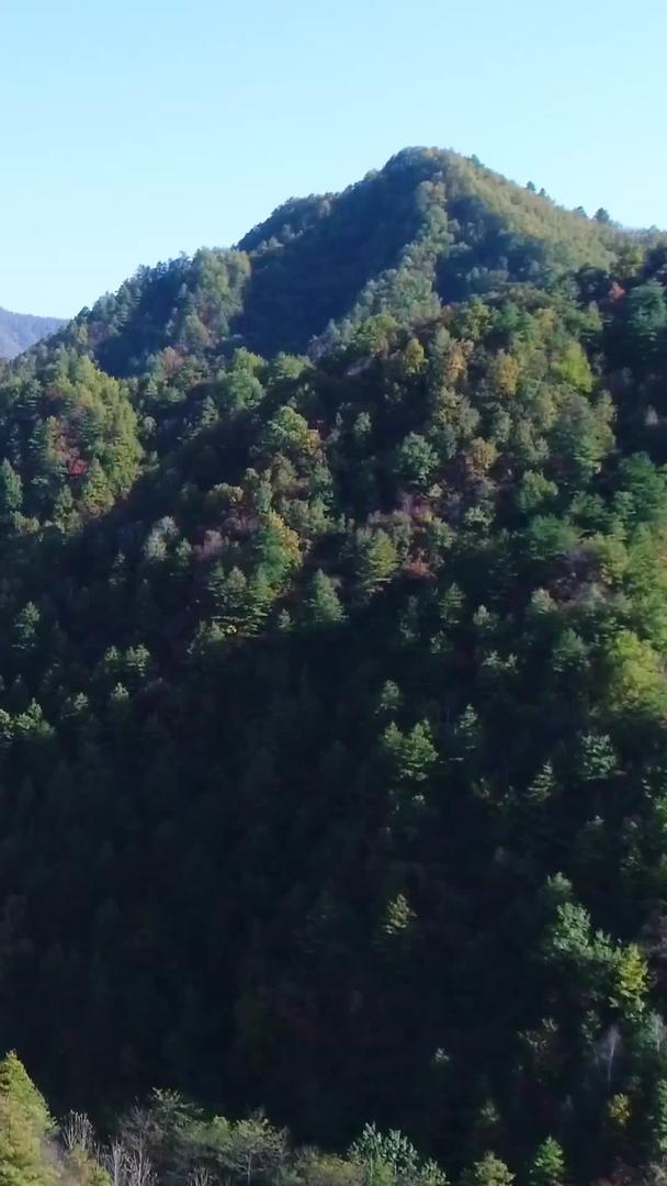 山区高速公路航拍视频的预览图