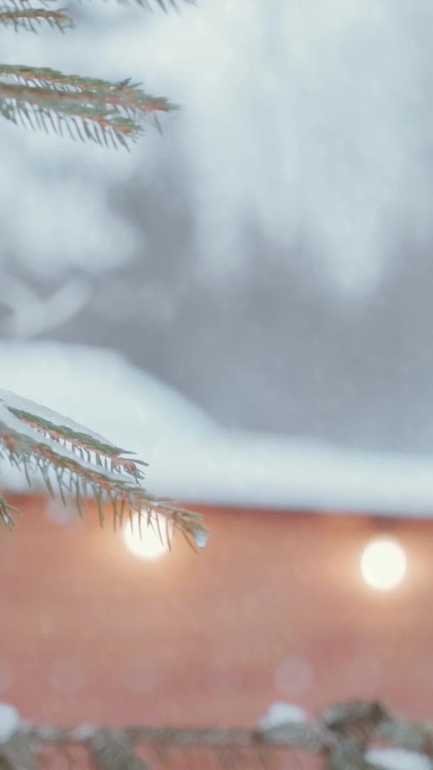 冬天的雪堆积在松树上积雪堆积在松树上视频的预览图