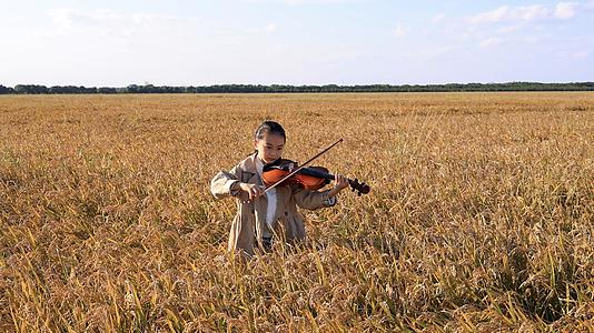 年轻的小女孩在稻田上演奏小提琴视频的预览图