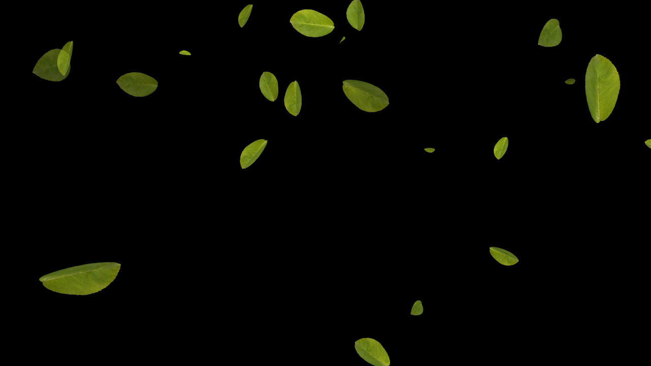 落叶动画带透明通道视频的预览图