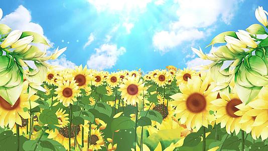 4K唯美动态向日葵花朵背景视频视频的预览图