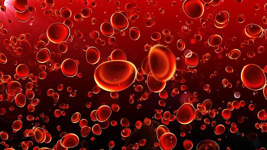 4K血液红细胞流动背景视频的预览图