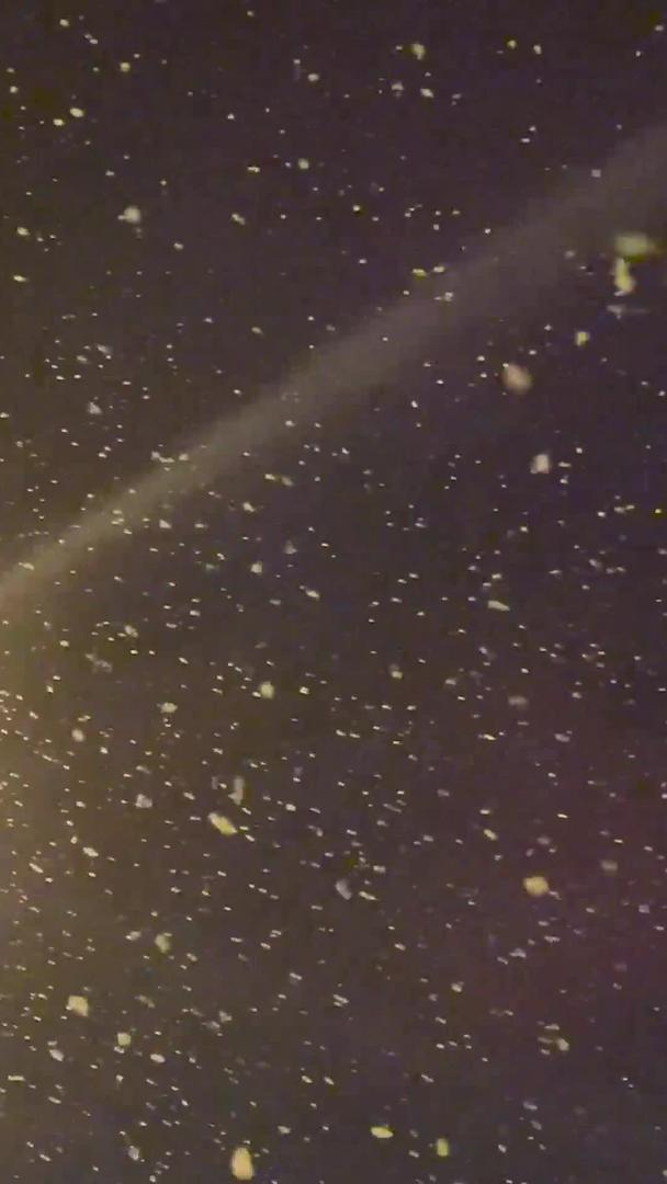 冬季到了大雪纷飞的夜晚视频的预览图