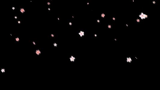 梅花粒子飘落修饰动画视频的预览图