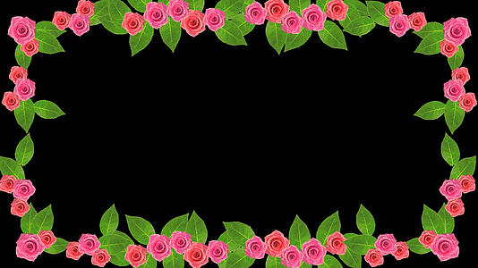 玫瑰绿叶边框视频的预览图