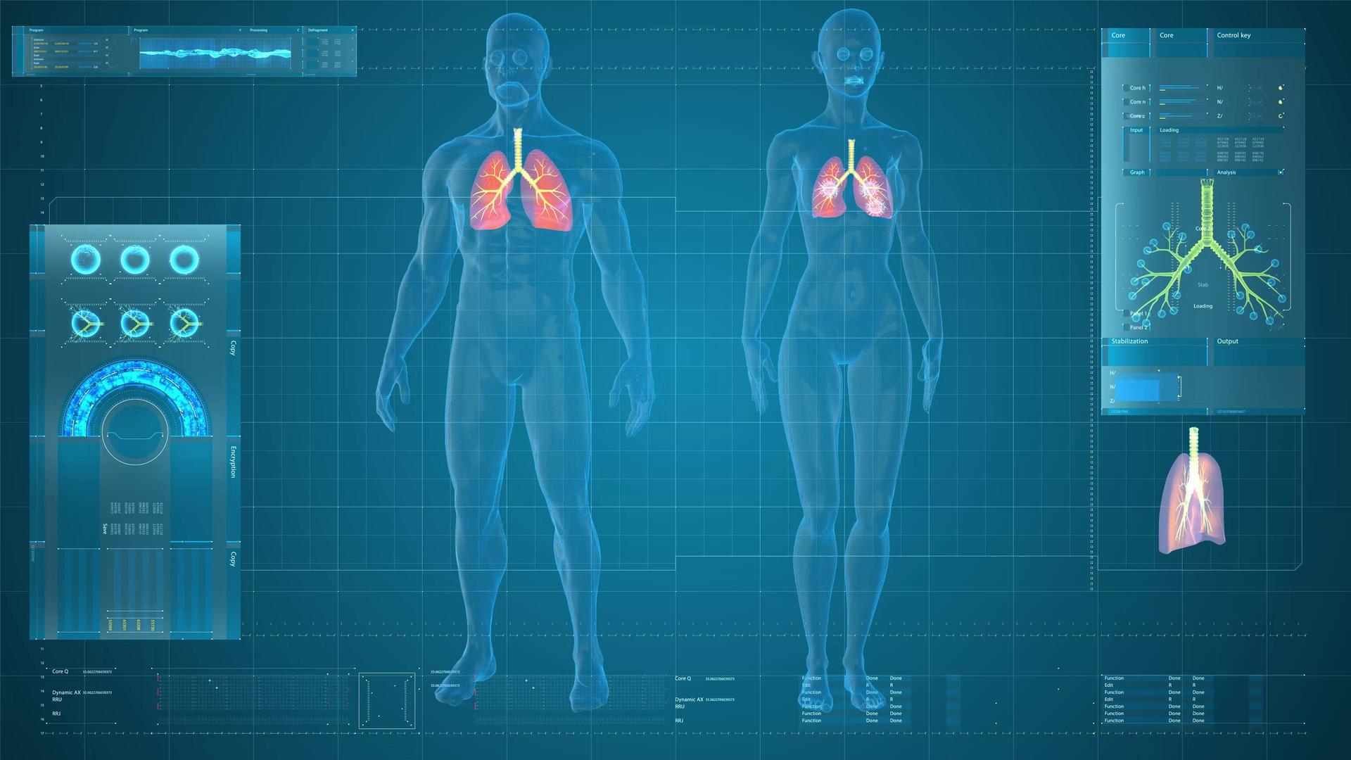 4K科技三维男女肺部分析展示视频的预览图