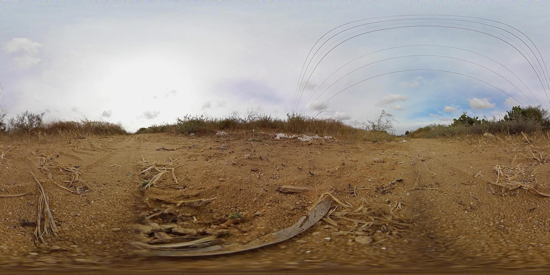 360vr一组黑蚂蚁在土壤上行走的视频视频的预览图