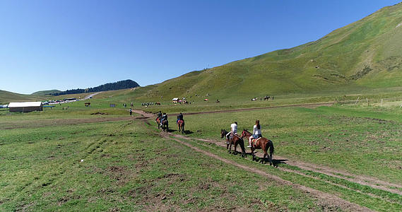 新疆天山脚下草原4K航拍视频的预览图