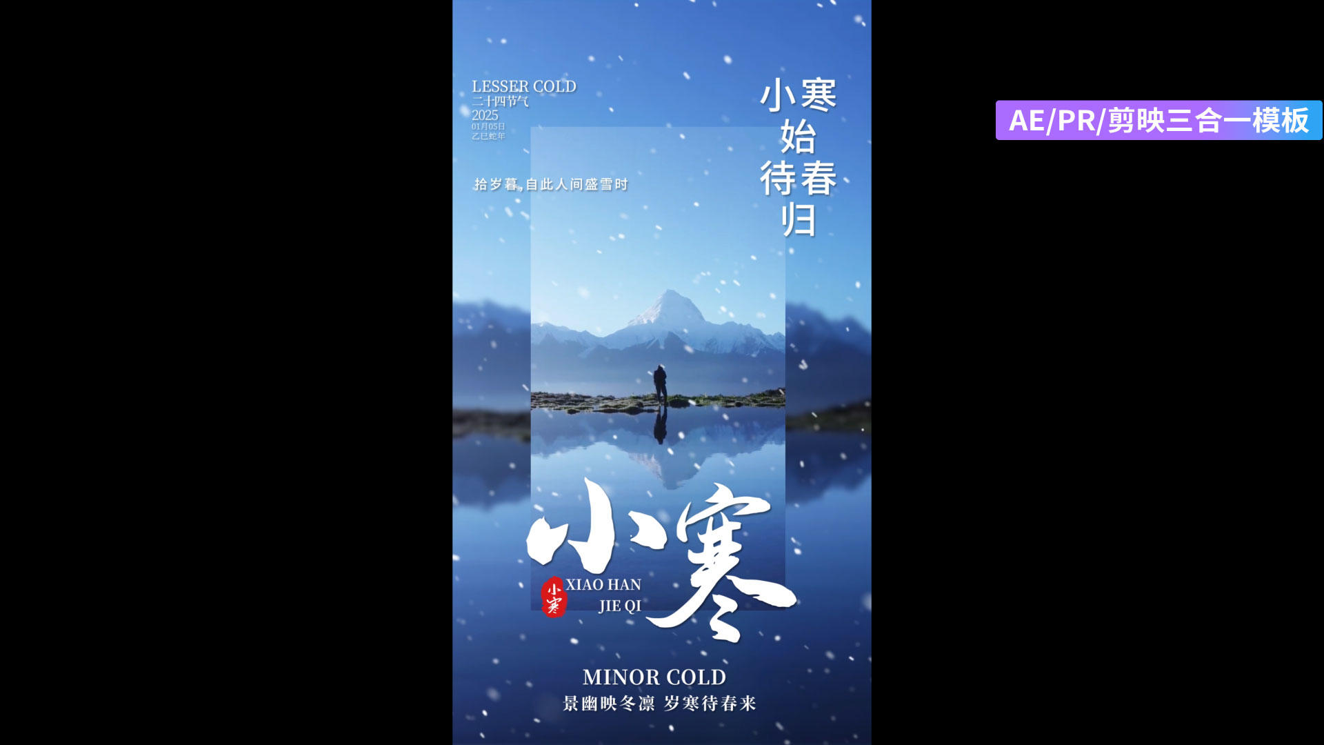 简洁美观小寒节气竖版海报AE模板视频的预览图