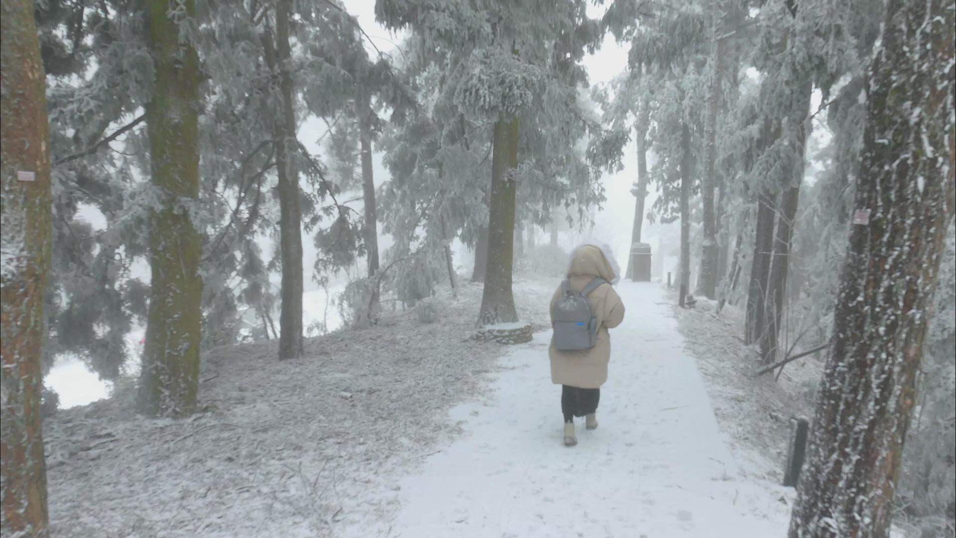 行走在庐山景区树林雪地视频的预览图