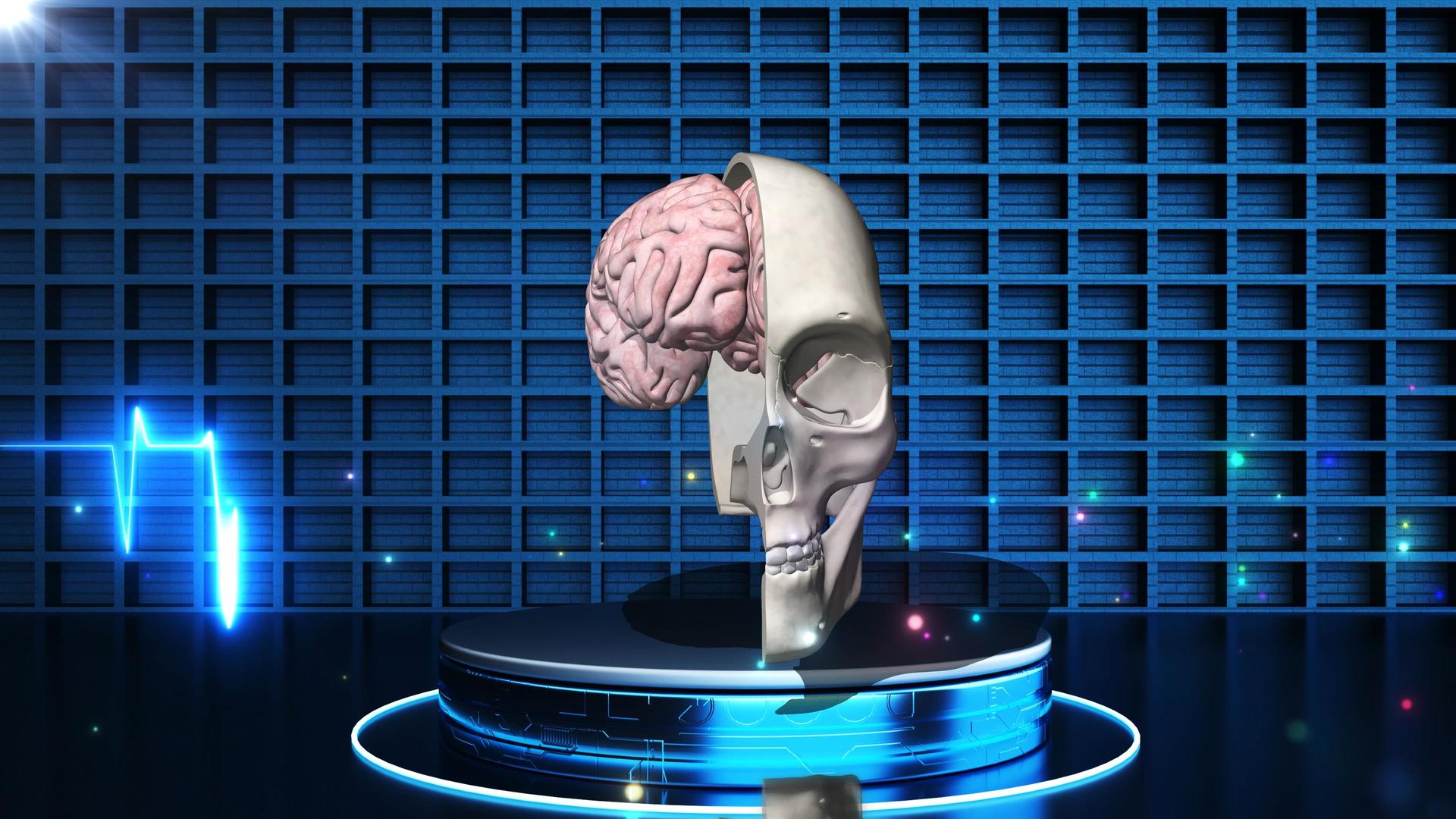 4K人类大脑解刨展示背景视频的预览图