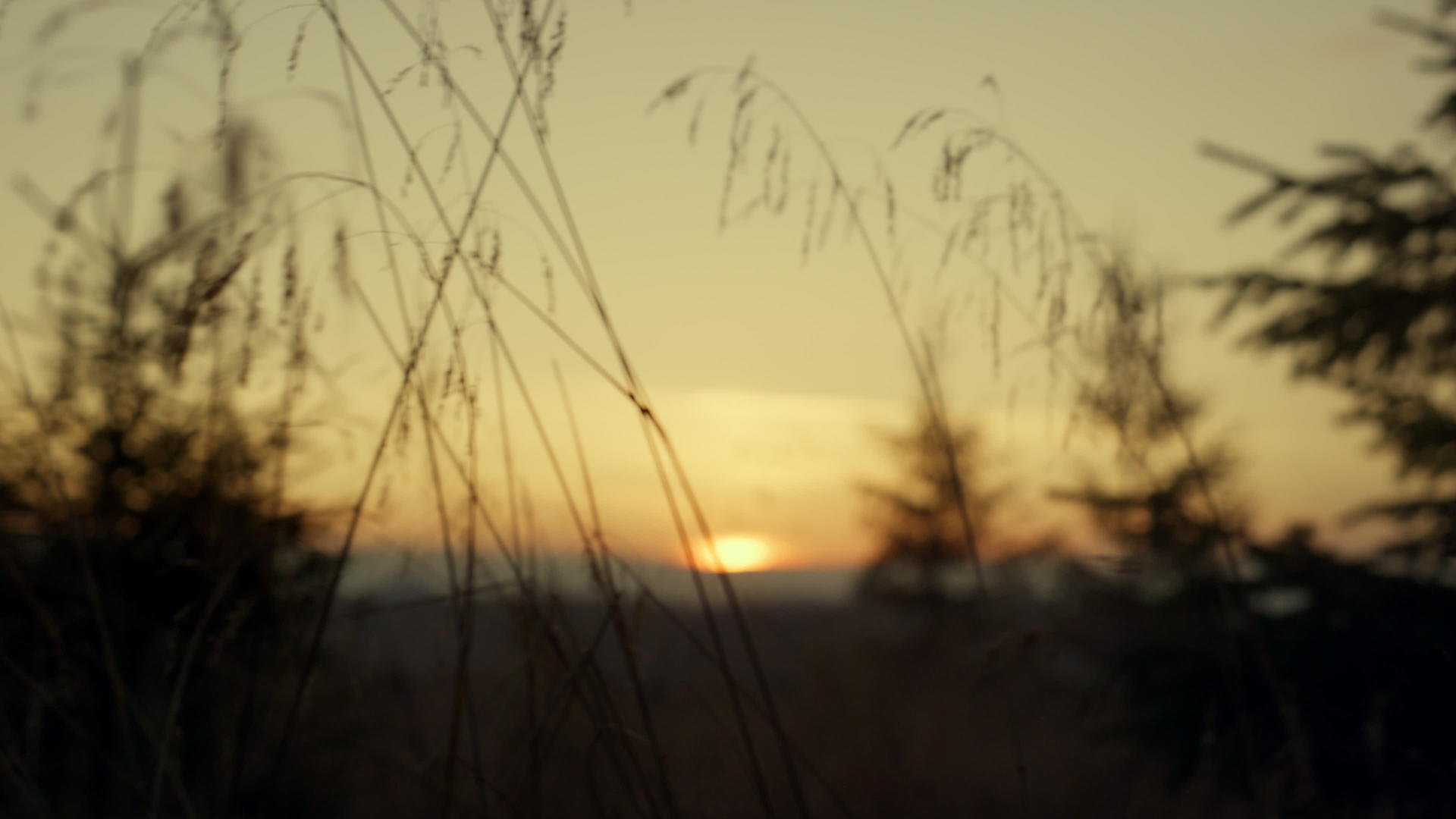 日落和黄昏的影子视频的预览图