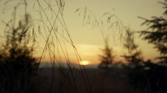 日落和黄昏的影子视频的预览图