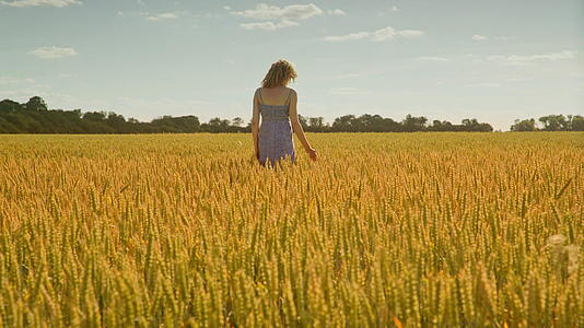 夏天在田野里抚摸小麦走向远方美丽的女人视频的预览图